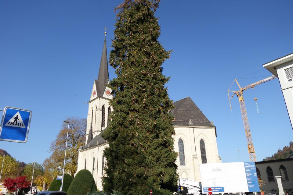 181107 kath. Kirche mit Tanne